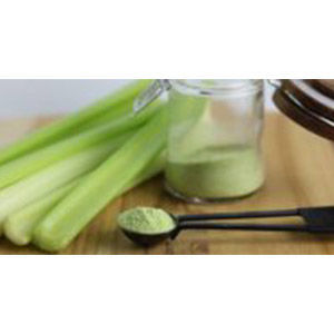 Celery Powder Celery Powder
