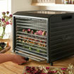 Excalibur 10-Tray Performance Digital Dehydrator drying edible flowers, herbs, and nuts with a tray being pulled out.